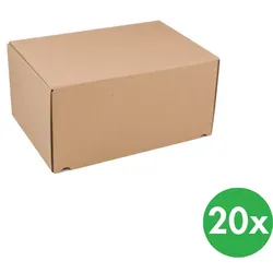 Standardisierte Schachteln für Druckschriften A4, 305 x 215 x 150 mm, 20 Stk.