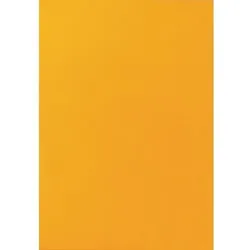 Multifunktionsetiketten Neonorange Rechteckig 25 Etiketten pro Packung