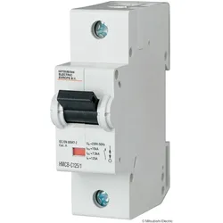 Mitsubishi Electric 100A, 1 Polig MCB HMCB-C100/1