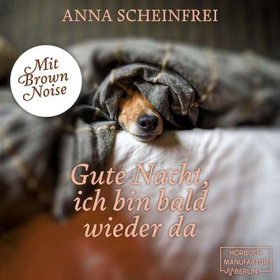 Gute Nacht, ich bin bald wieder da - Anna Scheinfrei, Audio, 4066004858760