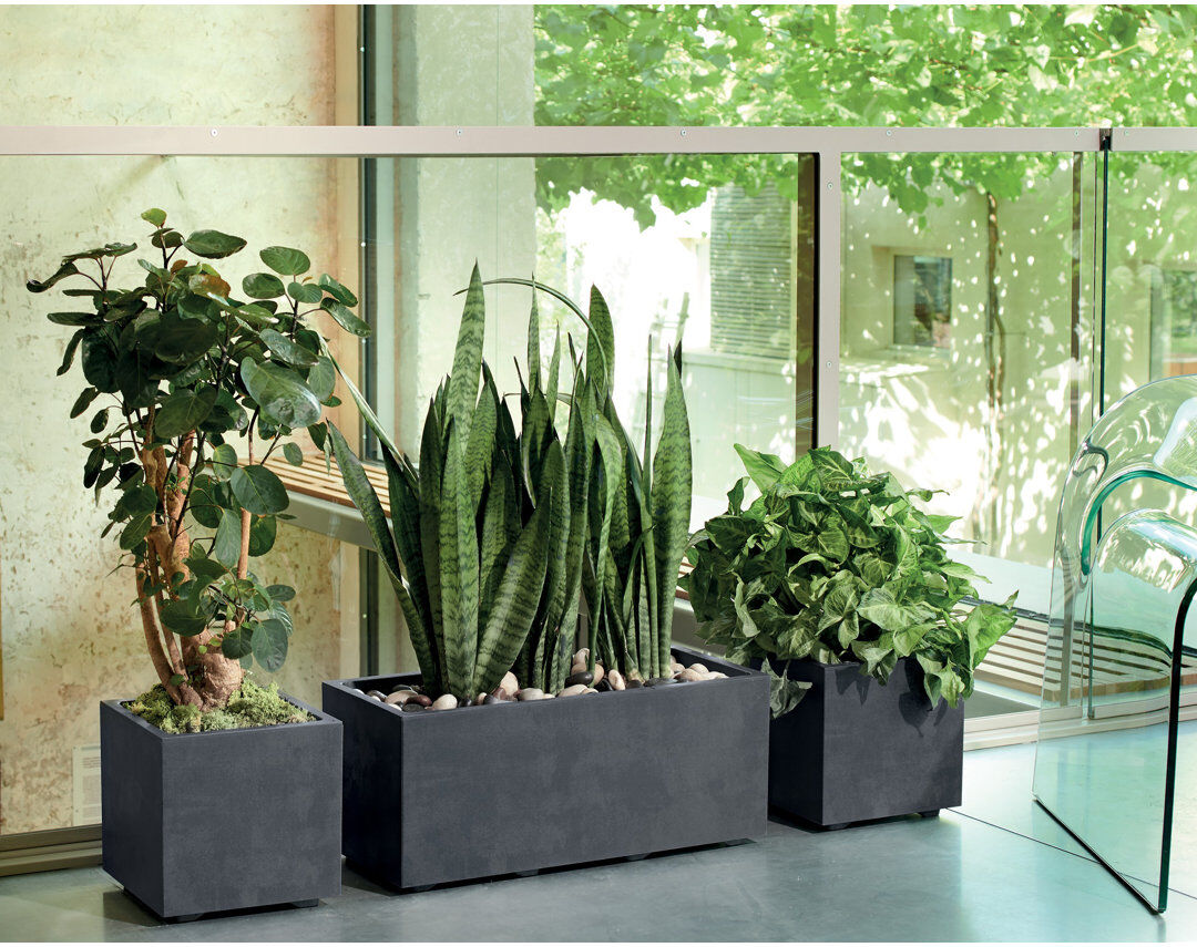 Deroma UK Millennium Trough Anthracite 25cm H x 59cm W x 25cm D