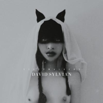 Sleepwalkers (Remastered 180g 2LP+Poster Gf.) - David Sylvian, Vinyl