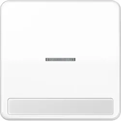 Jung Wippe Licht./Schriftf.aws CD 590 NAKO5 WW CD590NAKO5WW