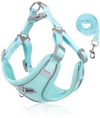 Uplift Essentials Dog Harness And Leash Set With Reflective Vest For Small And Medium Pets xl lake Green
