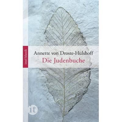 Die Judenbuche, Taschenbuch von Annette von Droste-Hülshoff, Insel
