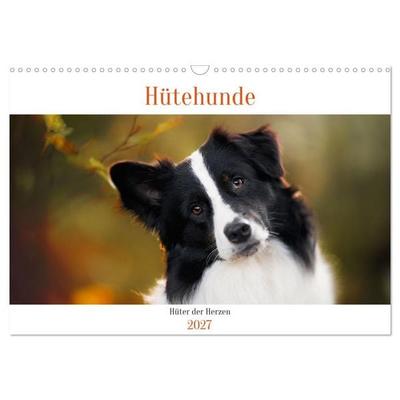 Hütehunde - Hüter der Herzen (Wandkalender 2027 DIN A3 quer), CALVENDO Monatskalender