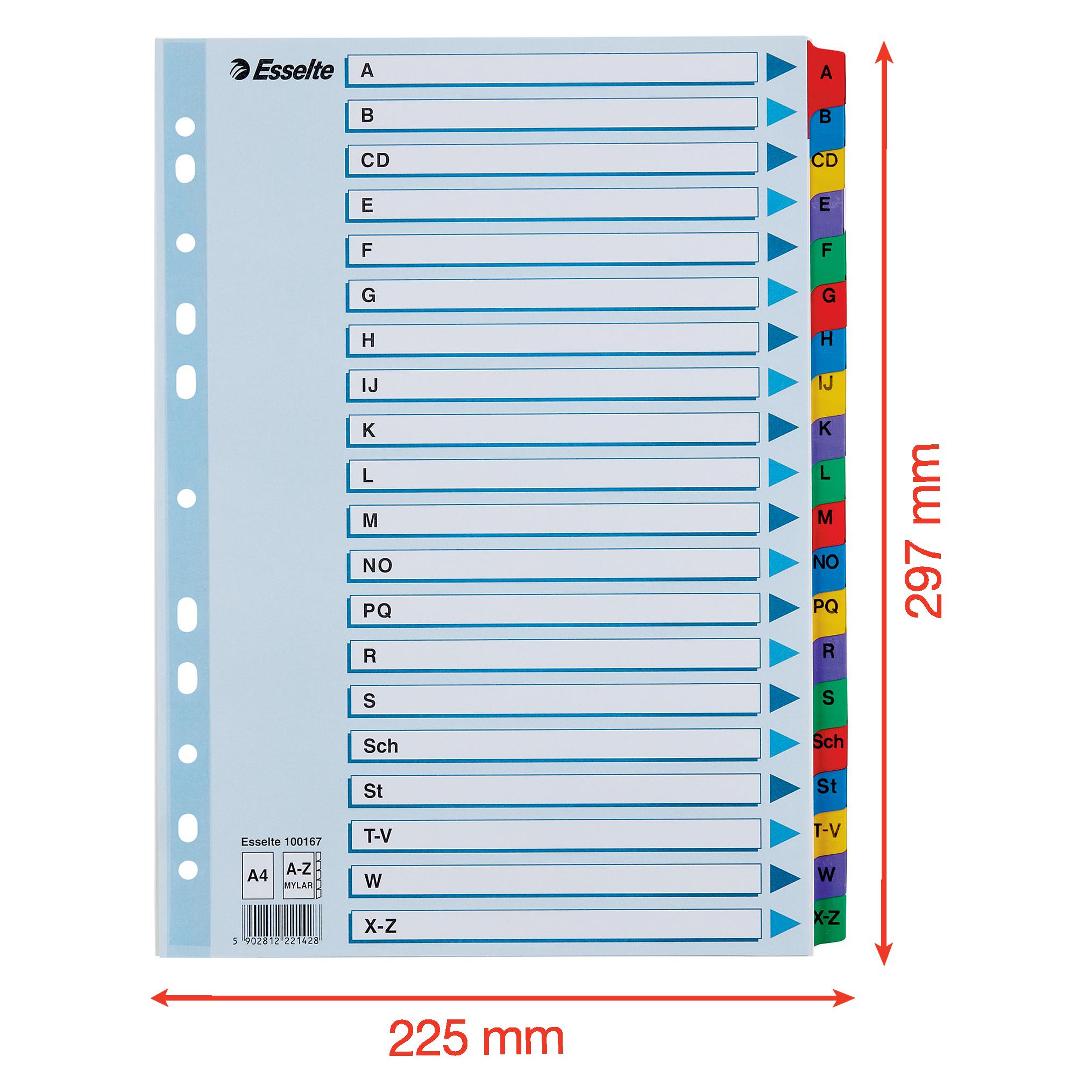 Esselte Mylar (100167)