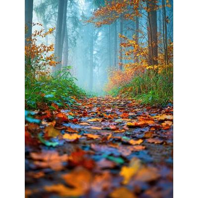 CALVENDO Puzzle Ein Pfad im Nebel, geheimnisvoll und still | 1000 Teile Lege-Größe 64x48cm Foto-Puzzle für glückliche Stunden, Sonstige von , Calvendo