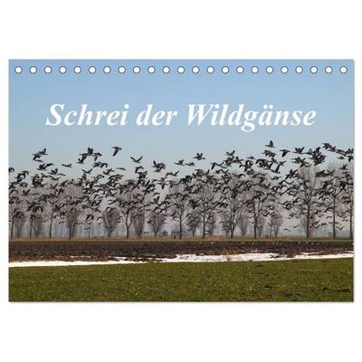Schrei der Wildgänse (Tischkalender 2026 DIN A5 quer), CALVENDO Monatskalender