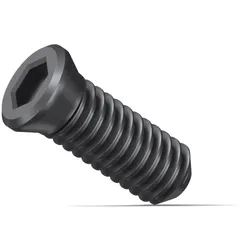 Fein Klemmschraube KX, 10-Stück - 31350075000