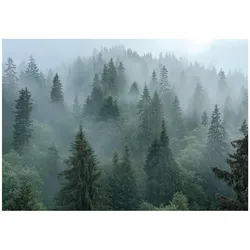 FOTOTAPETE Wald Nebel 3D Effekt Natur Wohnzimmer 200x140