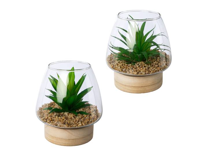Kunstpflanze CREATIV GREEN Sukkulenten im Glasgefäß , grün, H:14cm Ø:13cm, Kunststoff, Kunstpflanzen, Kunstpflanze, mit 2 verschiedenen Sukkulenten