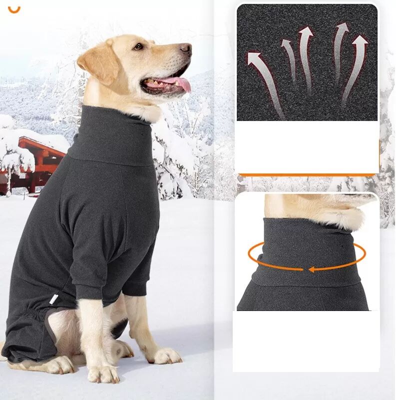 INF Warmer Vierbeiniger Hunde-Rollkragenpullover für mittelgroße bis große Hunde - Winteroutfit XL