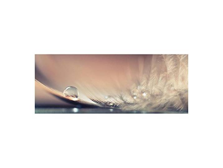 Glasbild Wandbild Glas Kunstdruck Story of a Waterdrop 50 cm x 125 cm