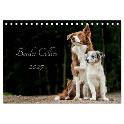 Border Collies 2027 (Tischkalender 2027 DIN A5 quer), CALVENDO Monatskalender
