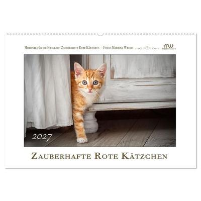 Zauberhafte rote Kätzchen (Wandkalender 2027 DIN A2 quer), CALVENDO Monatskalender