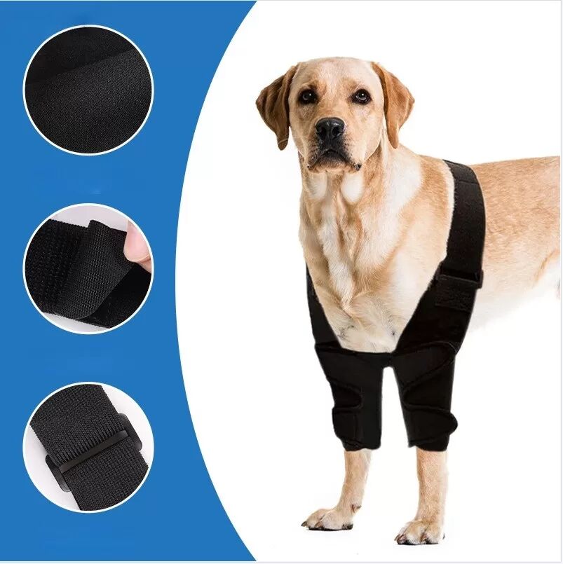 INF Doppelte Kniebandage für Hunde - Gelenkunterstützung & Genesung XL
