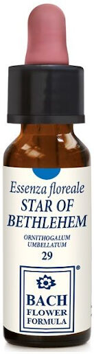 Erba Vita Star Of Bethlehem 10ml Gocce