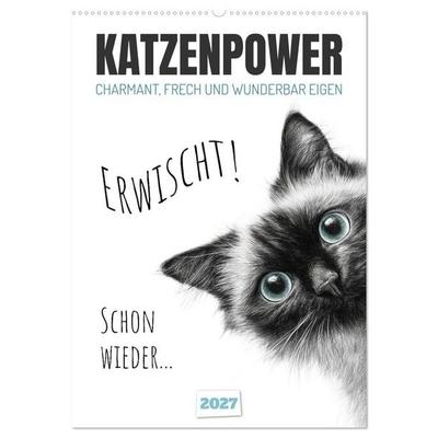 Katzenpower - Charmant, frech und wunderbar eigen (Wandkalender 2027 DIN A2 hoch), CALVENDO Monatskalender