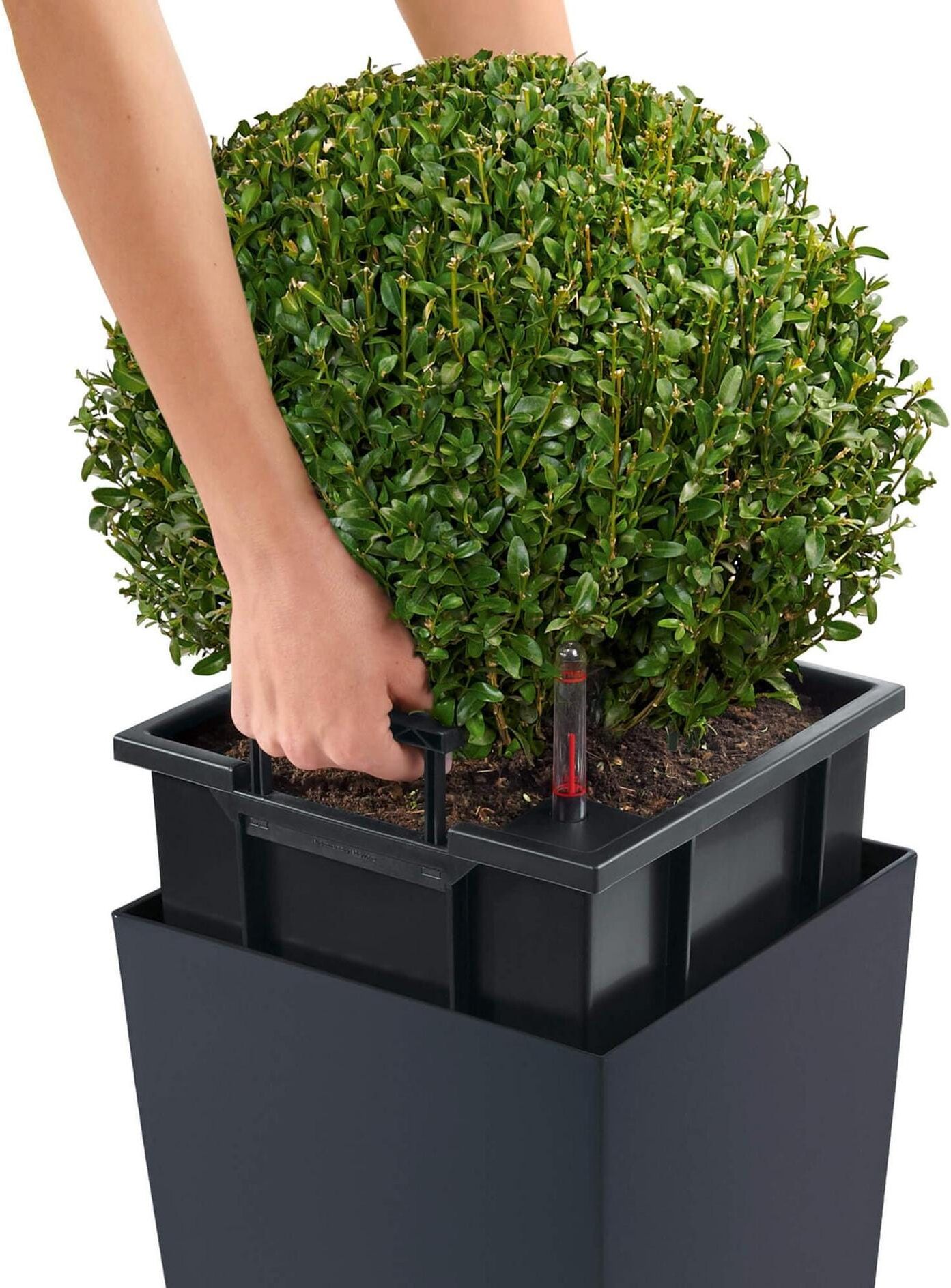 Blumentopf "Lechuza CUBICO Color 40", beige (sandbraun), B:39,5cm H:75,5cm T:39,5cm, Pflanzgefässe, Blumentopf sandbraun B/H/T: 39,5cm x 75,5cm x 39,5cm