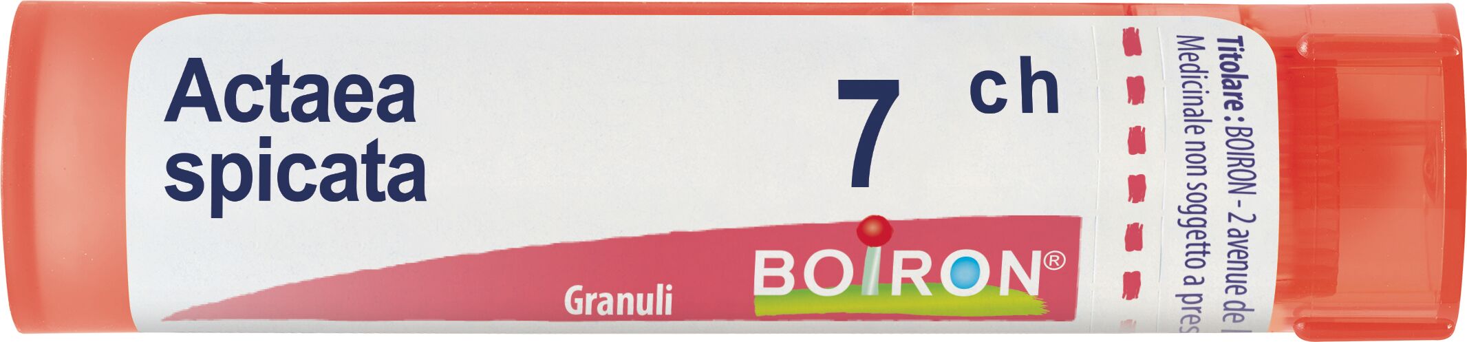 Actaea Spicata 7ch Granuli Multidose Boiron