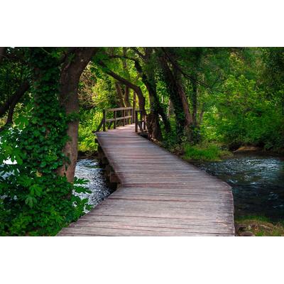 Fototapete PAPERMOON "Steg durch Wald", bunt, B:3m L:2,23m, Vlies, Tapeten