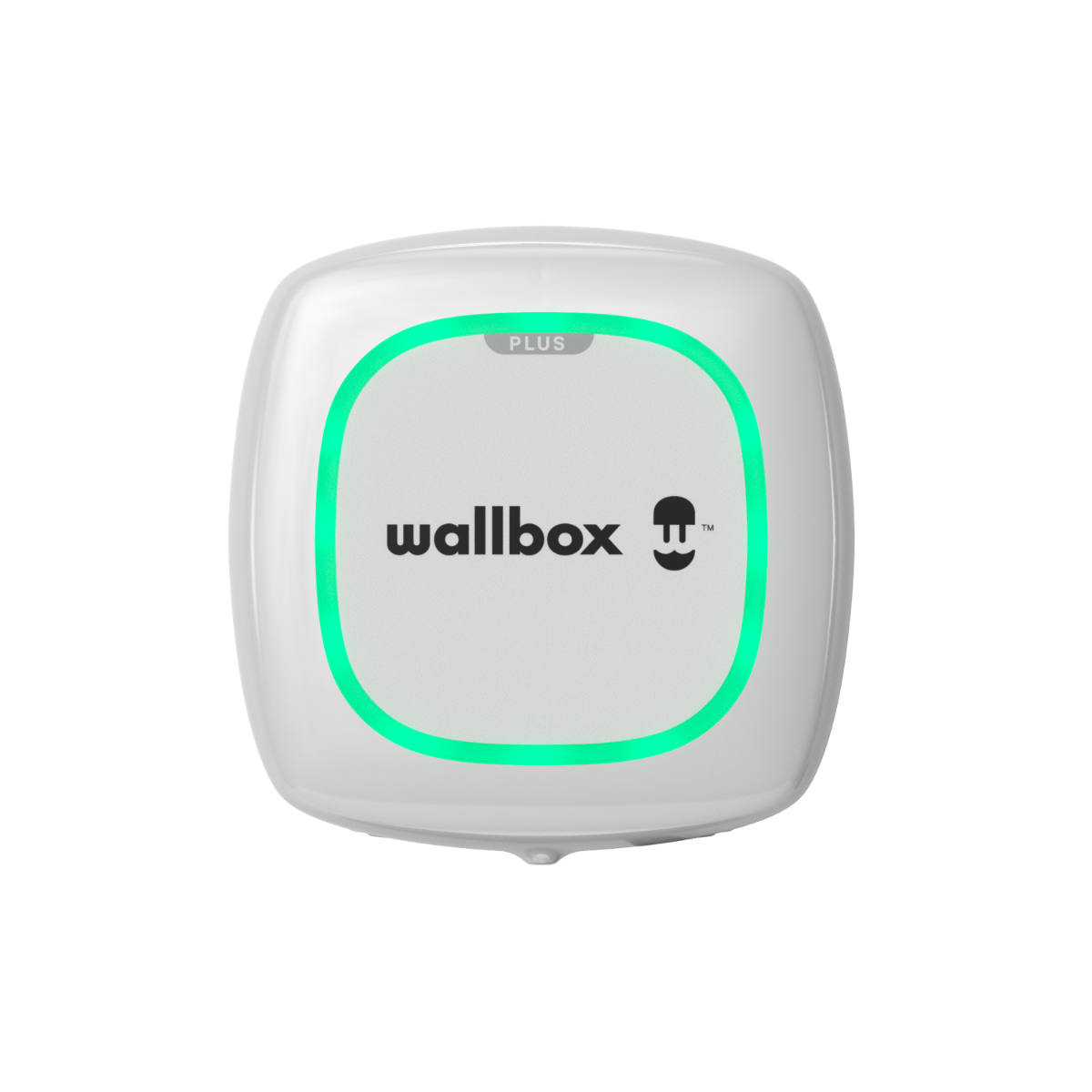Wallbox Pulsar Plus (7.4Kw / 5 Meter / Typ 2 / Weiß)