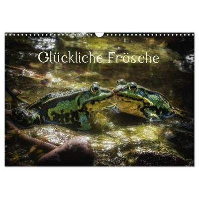 Glückliche Frösche (Wandkalender 2027 DIN A3 quer), CALVENDO Monatskalender