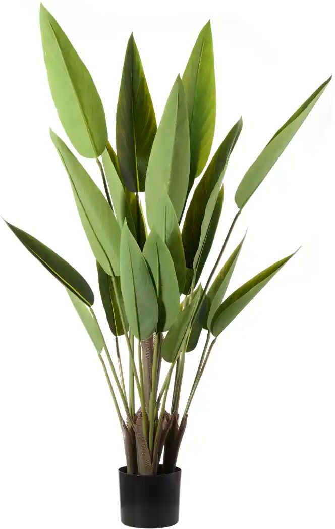 Höffner Strelitzia getopft   ¦ grün ¦ Kunststoff ¦ Maße (cm): H: 120