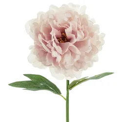 PartyDeco 24x Künstliche Blume - Pfingstrose, 35 cm, blassrosa