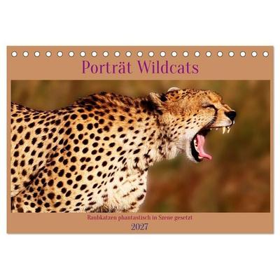 Porträt Wildcats (Tischkalender 2027 DIN A5 quer), CALVENDO Monatskalender