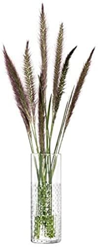 LSA International Rieten vaas, helder glas, Hoogte: 20 cm