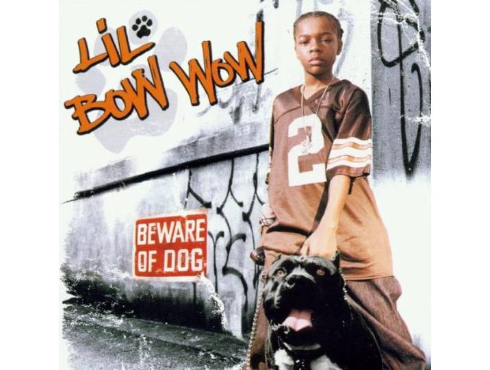 Beware Of Dog