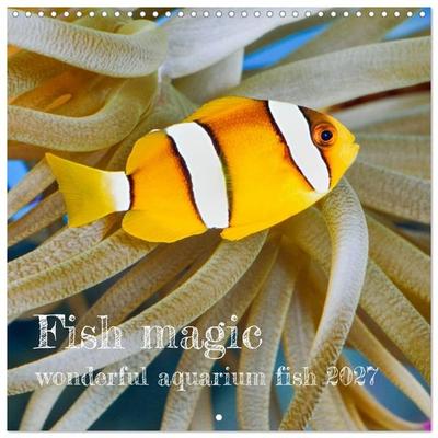Fish magic (Wall Calendar 2027 12 × 12 Inch) CALVENDO 12 Month Wall Calendar