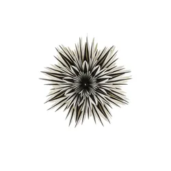 Anhänger Schneeflocke   , schwarz , Papier , Maße (cm): H: 17  Ø: 64