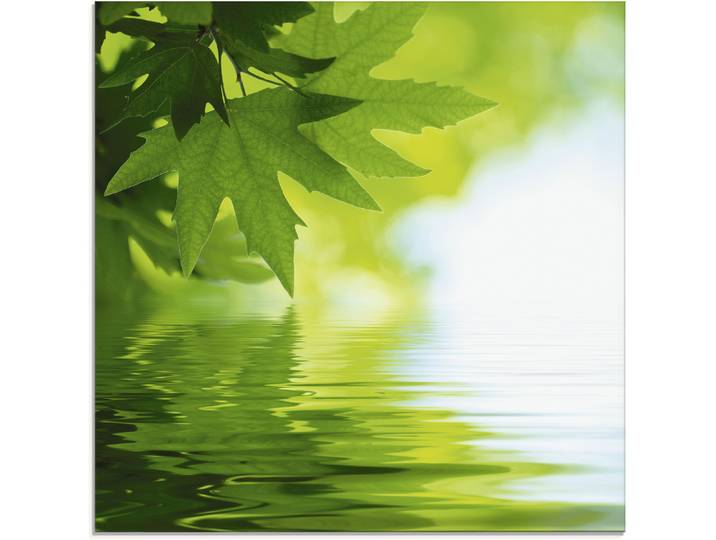Glasbild ARTLAND Grüne Blätter reflektieren im Wasser , grün (farbe bild(er): grün), B:30cm H:30cm, Bilder, Glasbild, in verschiedenen Grössen
