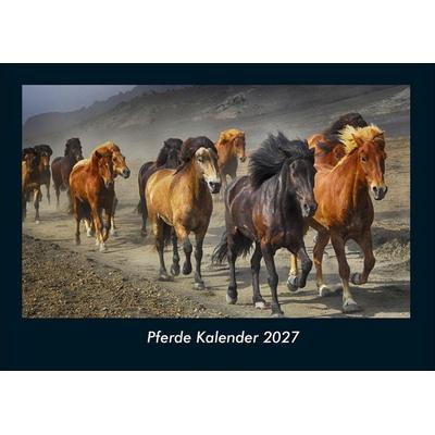 Pferde Kalender 2027 Fotokalender DIN A4