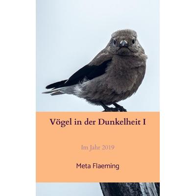 Vögel in der Dunkelheit I, Taschenbuch von Meta Flaeming, Bookmundo Osiander, 978-94-036-1846-3