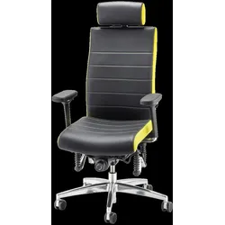 Haider Bioswing Bürodrehstuhl 660 IQ AIR Bestseller frei konfigurierbar