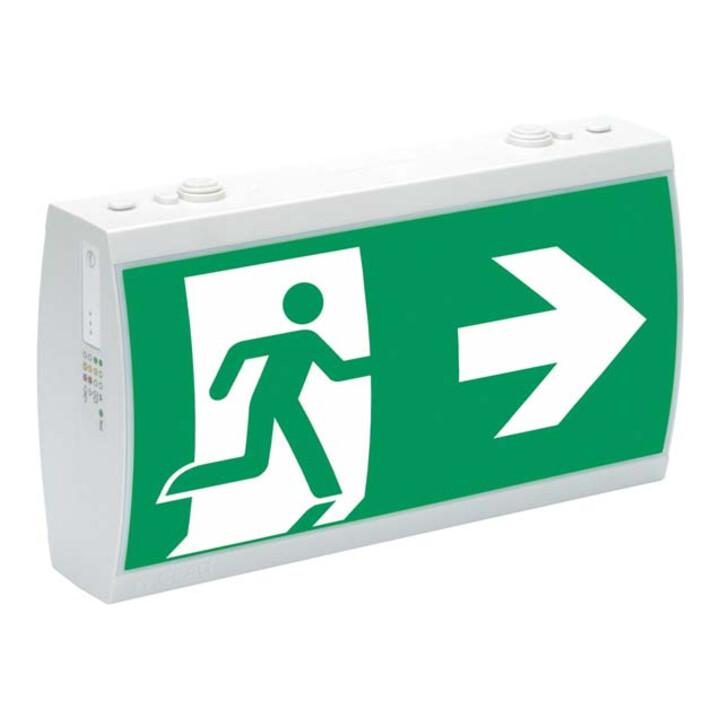 Ceag Notlichtsysteme LED-Rettungszeichenleuchte RAL7035 IP41 SV EURO 2-3/D LED ; Eaton (40071349399)