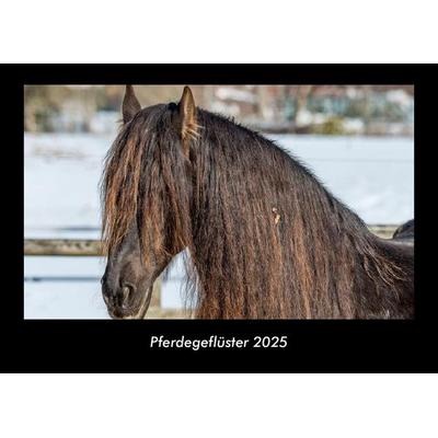 Pferdegeflüster 2025 Fotokalender DIN A3