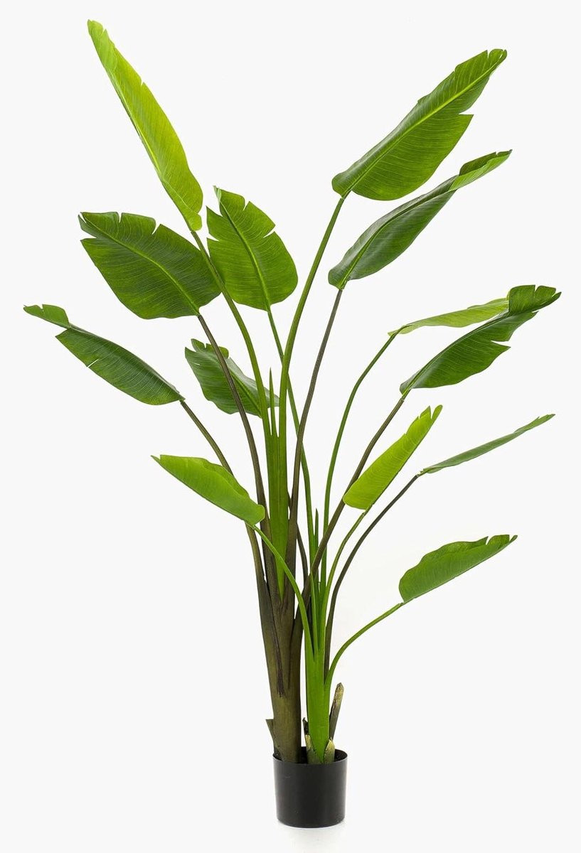 Kunstplant Strelitzia Paradijsvogelbloem Groen - Hoogte: 180 cm
