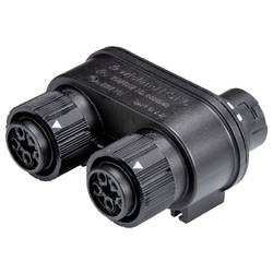 Wieland Electric 46.050.1254.1 Verteiler