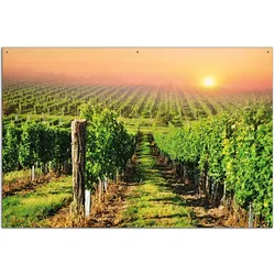 Wallario Gartenposter ca. 80 x 120 cm Weinberg mit untergehender Sonne