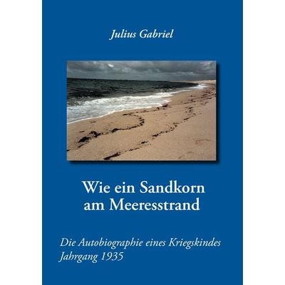 Wie ein Sandkorn am Meeresstrand, Taschenbuch von Julius Gabriel, BoD – Books on Demand, 978-3-8482-2991-8