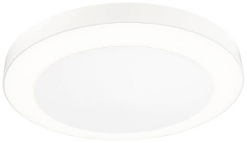 Paulmann Circula 94528 LED-Außenwandleuchte mit Bewegungsmelder 14W Beige