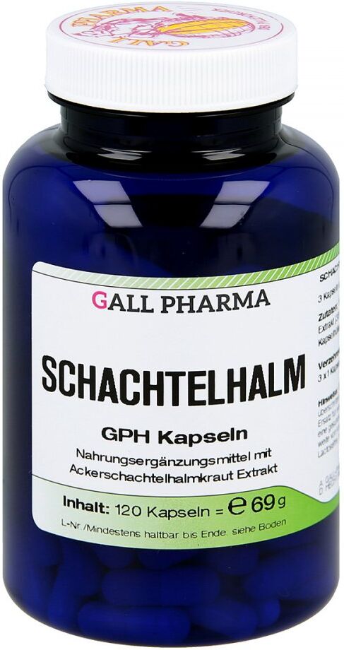 Schachtelhalm Kapseln