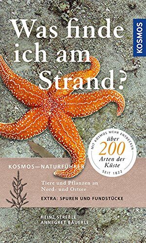 Heinz Streble - Was finde ich am Strand? - Preis vom 12.10.2026 11:37:12 h