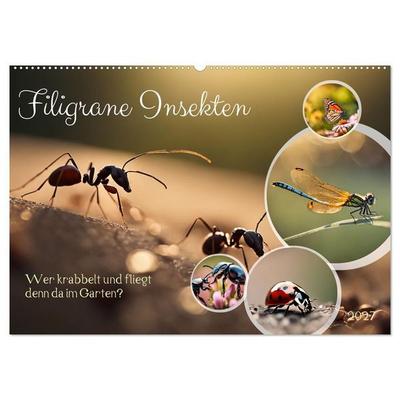 Filigrane Insekten (Wandkalender 2027 DIN A2 quer), CALVENDO Monatskalender