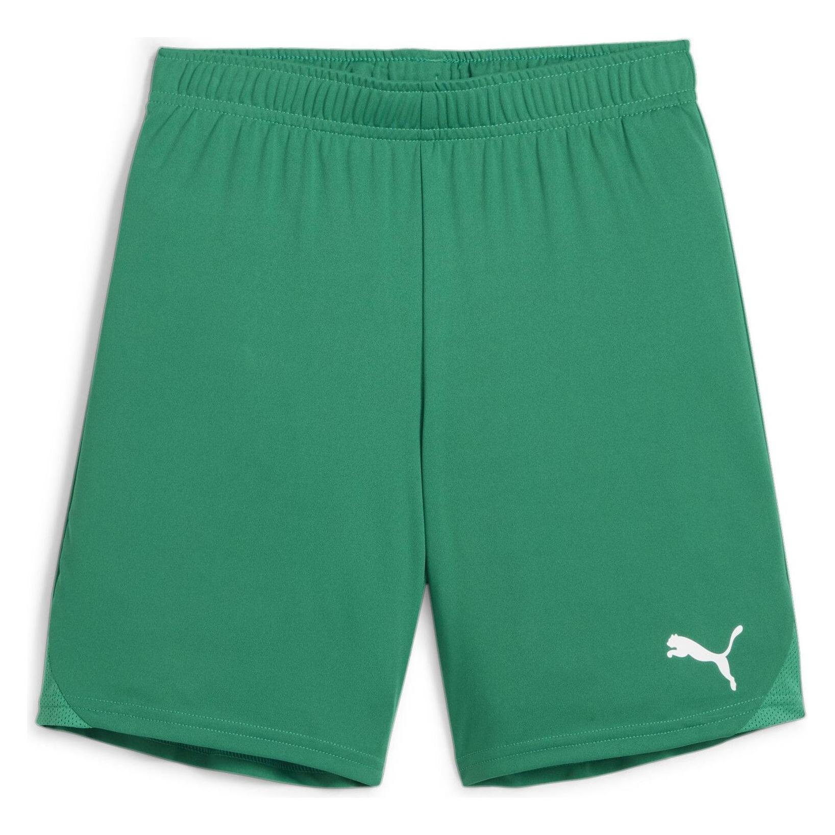 Puma teamGOAL Shorts Jr (152) (705753_05)